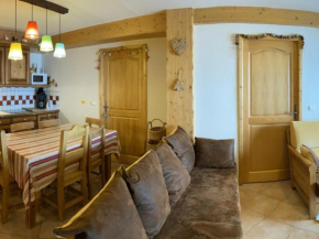 Appartement lumineux 8 pers avec piscine et parking près des pistes à Villard-sur-Doron - FR-1-293-363